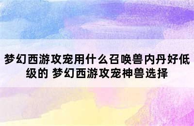 梦幻西游攻宠用什么召唤兽内丹好低级的 梦幻西游攻宠神兽选择